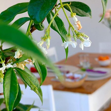 Corte Mercurio B&B Ugento Kültér fotó