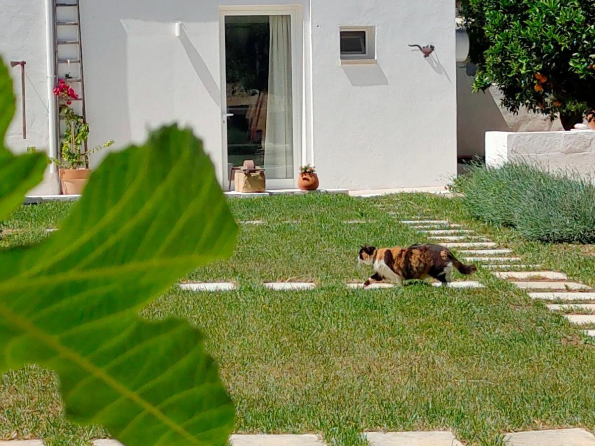 Corte Mercurio B&B Ugento Kültér fotó