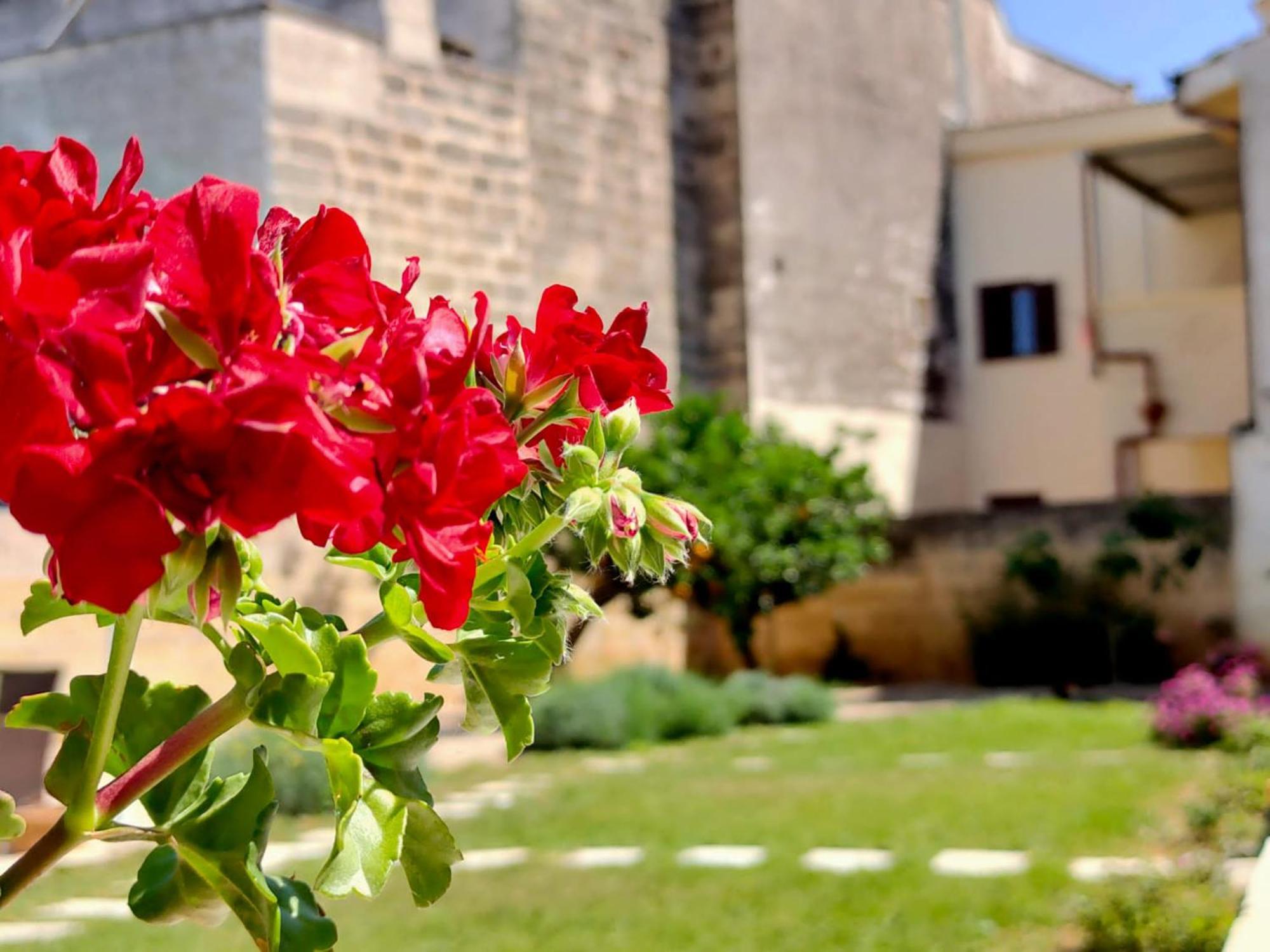Corte Mercurio B&B Ugento Kültér fotó