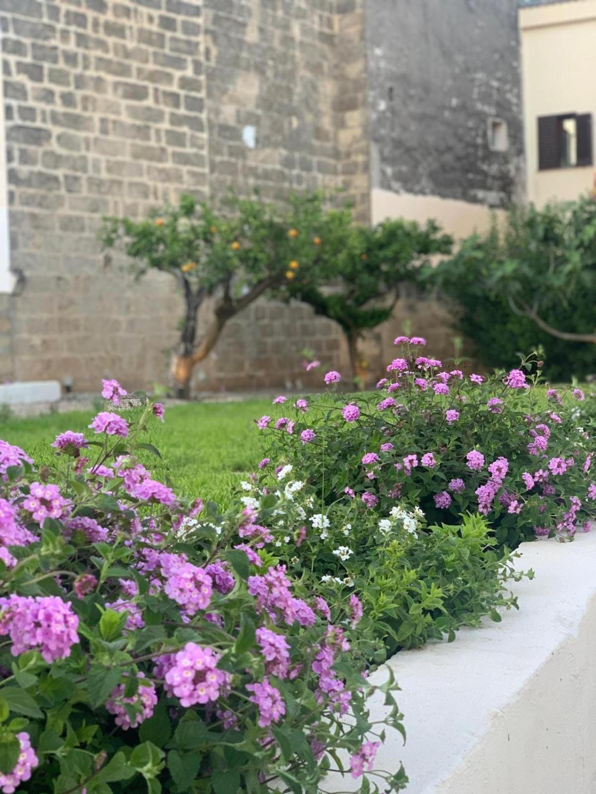 Corte Mercurio B&B Ugento Kültér fotó